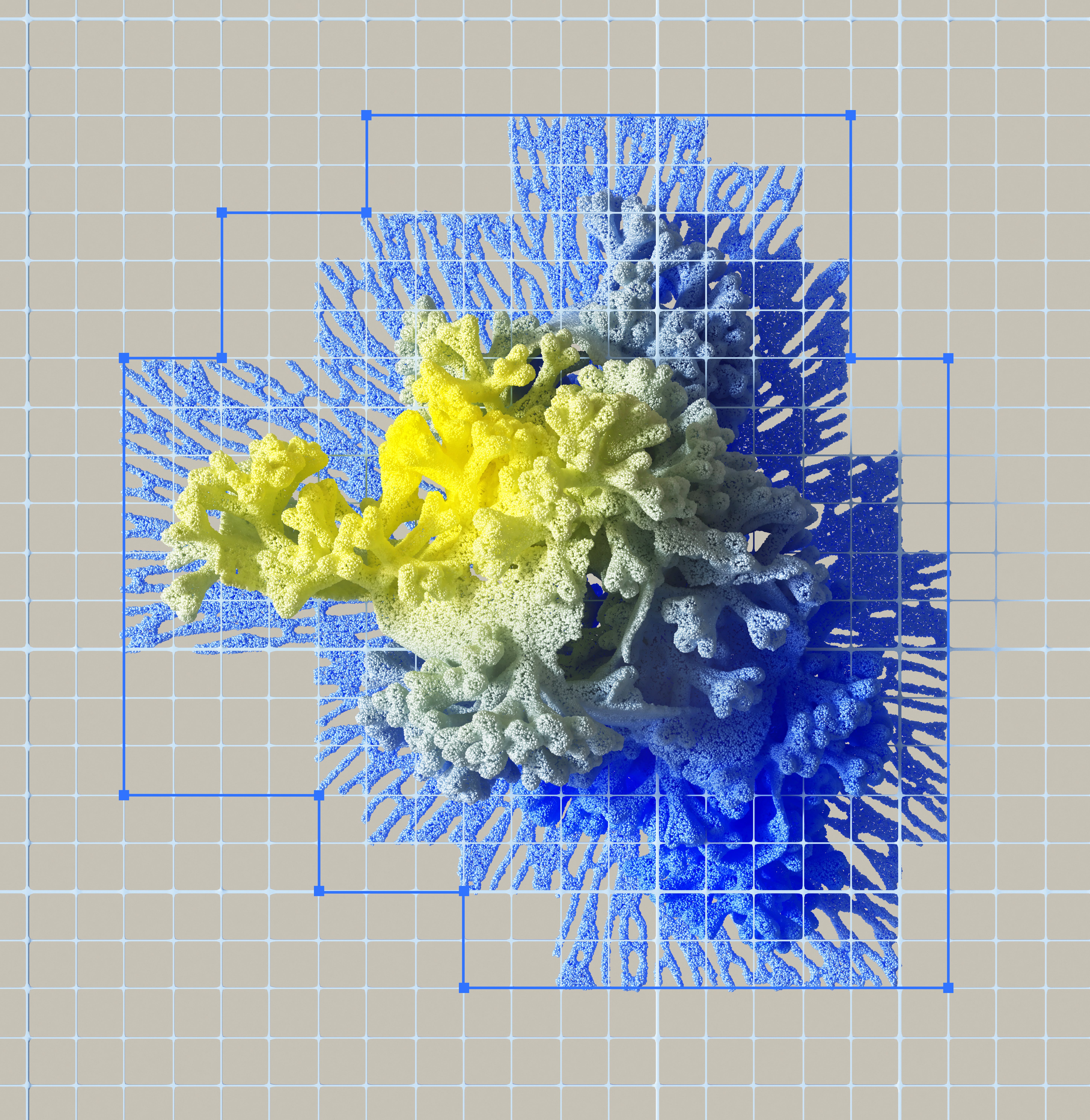 digital refinement