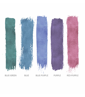 color palette